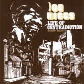 Life of Contradiction artwork
