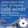 Cold Winds (First State Remix) song lyrics