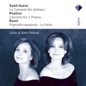 Concerto for 2 Pianos and Orchestra in D Minor I. - Allegro ma non troppo artwork