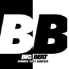 Big Beat Summer Sampler 2011, 2011