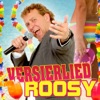 Het Versierlied (Radio Version) - Single