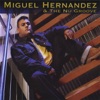 Miguel Hernandez & the Nu Groove