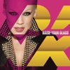 Raise Your Glass - Single, 2010