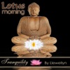 Lotus Morning