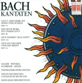 Bach: Cantatas - BWV 50, 79, 80, 192 artwork