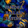 Vamos A Bailar Latino Vol. 2, 2008