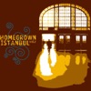 Homegrown Istanbul, Vol. 2 (Disc 1)