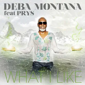 What I Like (Radio Edit) by Deba Montana song reviws