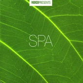 Spa-Music to Relax By artwork