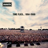Time Flies...1994-2009 artwork