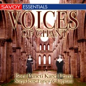 Voices of Chant artwork