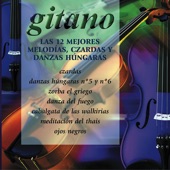 Gitano (Danzas Húngaras) artwork