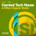 Carnival Tech House & Other Organic Beats album cover