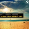 Tribal-Tech Essentials, 2008