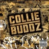 Collie Buddz - Sensimillia