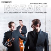 Divertimento in E flat major, K. 563: V. Menuetto: Allegretto - Trio I - Trio II artwork