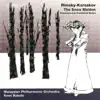 Rimsky-Korsakov: Snow Maiden Suite (The) - the Tsar''s Bride Overture - Pan Voyevoda Suite album lyrics, reviews, download