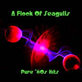 Pure '80s Hits: A Flock of Seagulls (Re-Recorded Versions) - A Flock of Seagulls