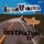 Inna Vision - Rootzn