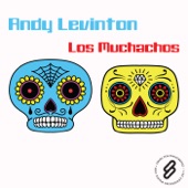 Los Muchachos (Original Mix) artwork