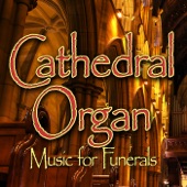 Cathedral In the Wildwood - Cathedral Organ artwork