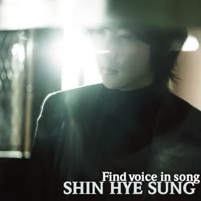 Find Voice in song - Shin Hye Sung