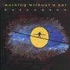 Buzz Cason - It Is What It Is