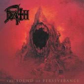 The Sound of Perseverance (Reissue) artwork