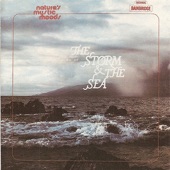 The Sounds of the Storm & the Sea, Vol. 1 artwork