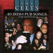 40 Irish Pub Songs artwork