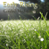 Val Gosselin - Guided Meditation for Early Rising: Wake Up Early, Morning Person, Energy & Motivation, Silent Meditation, Self Help Hypnosis & Wellness