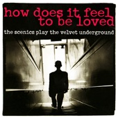 How Does It Feel to Be Loved? - The Scenics Play the Velvet Underground artwork