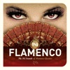 Nü Flamenco