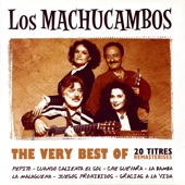 The Very Best of los Machucambos artwork