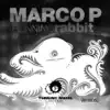 Running Rabbit (Original Mix) - Single album lyrics, reviews, download