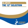 The 12" Selection