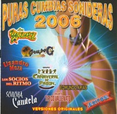 Puras Cumbias Sonideras 2006