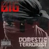 Domestic Terrorist