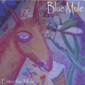 Blue Mule - Mandocello Portabello