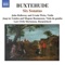 Sonata in A Minor, BuxWV 272: I. 4/4 - Allegro artwork