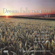 Dream Folk Songs 2000, Vol. 7 - Various Artists