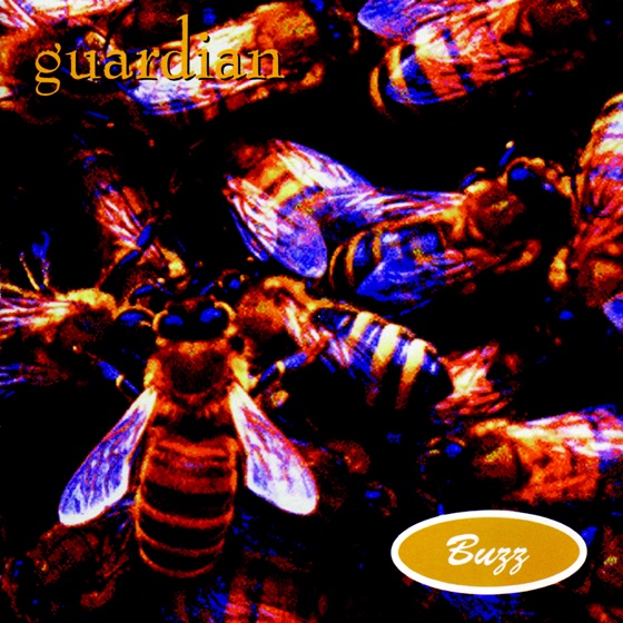 Cover artwork for Shorty