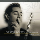 Nestor Torres - Piper Dance