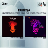 Fab Five Years (Double Album) - Tribeqa