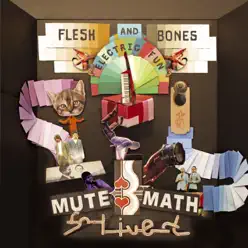 Flesh and Bones Electric Fun - Mutemath