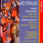Romanze Für Die Clarinette Mit Begleitung Des Orchesters, Op. AV. 61 artwork