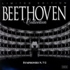 Camerata CassoviaeWalter Attanasi - Symphony N. 7 In a Major Op. 92: Poco Sostenuto - Vivace (Beethoven)