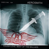 Aerosmith - Janie's Got A Gun