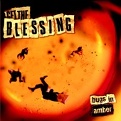 Bugs In Amber artwork