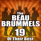 The Beau Brummels - Don't Talk To Strangers